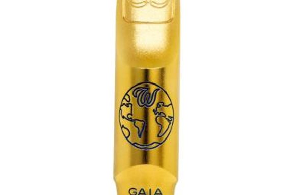 2020 Theo Wanne Gaia for tenorsax